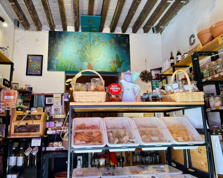 WhatsApp Image 2026-02-16 at 15.01.10